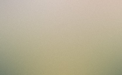 Sample food photography entry with a plated dish